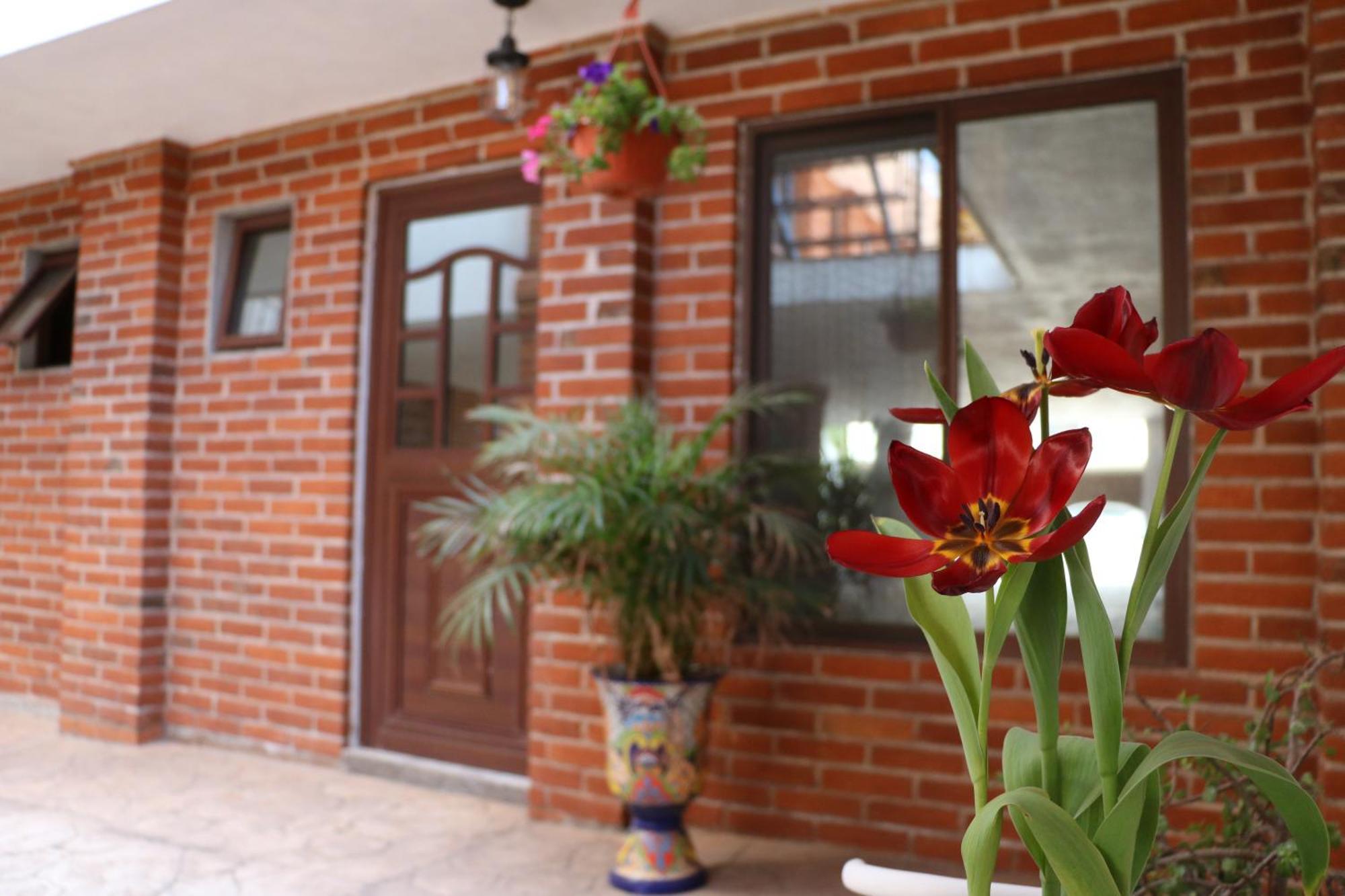 Airb&B Hm Cholula Esterno foto